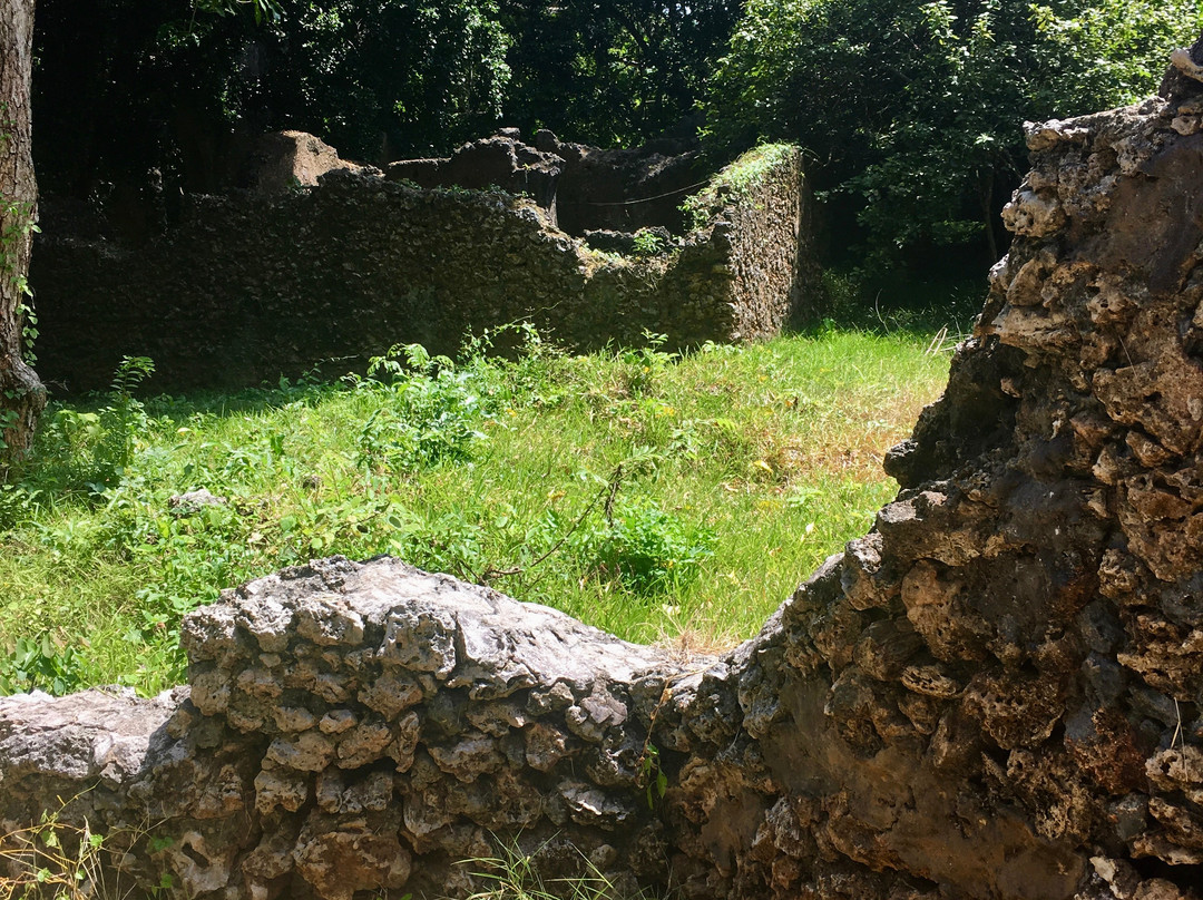 Jumba la Mtwana-蒙巴萨必去景点