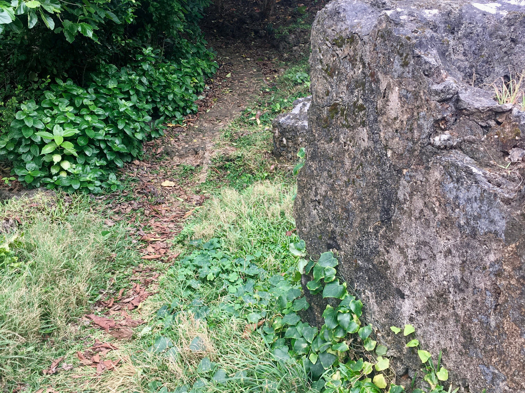 Jumba la Mtwana-蒙巴萨必去景点