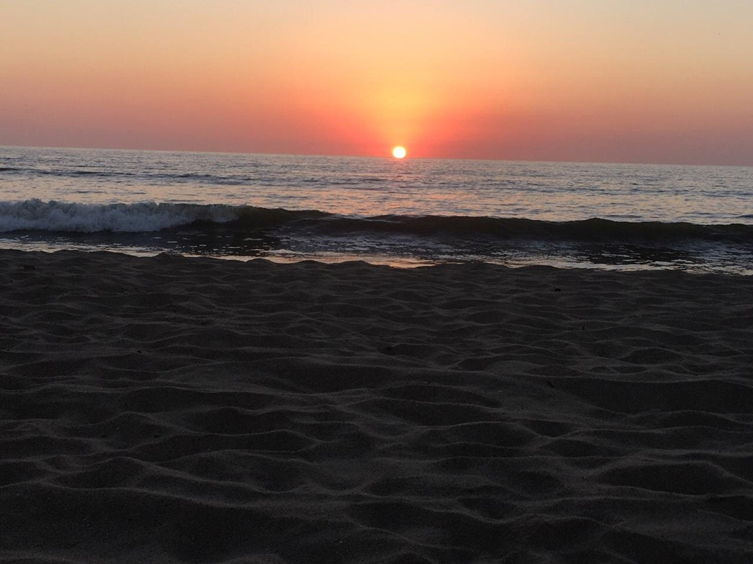 Galeria Suites San Pancho主图