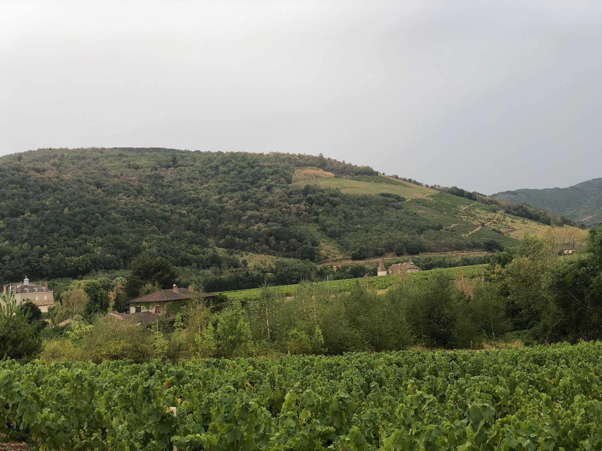 Les Potins du Four-官方