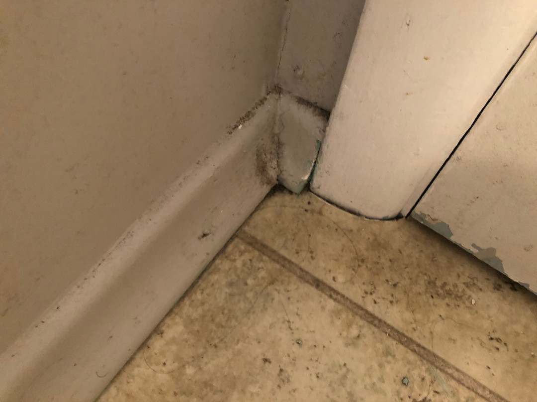 The Victorian Motel and RV Park主图