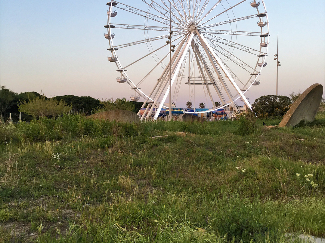 Plage du Centre Ville - Point Zéro景点图片