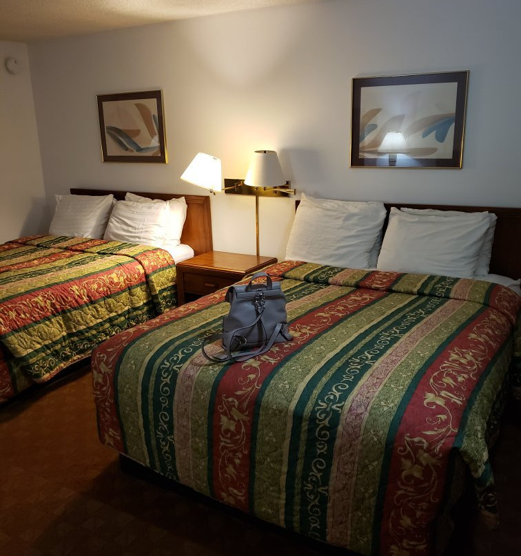 Travelodge by Wyndham Florence主图