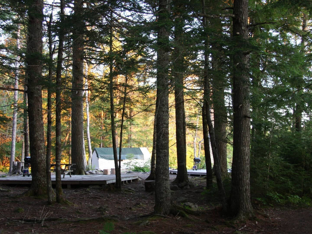 Mersey River Chalets and Nature Retreat主图