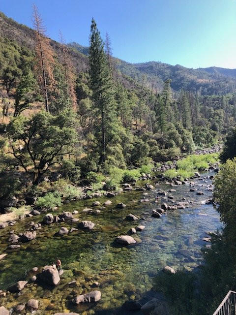 约塞米蒂蓝蝴蝶旅馆主图