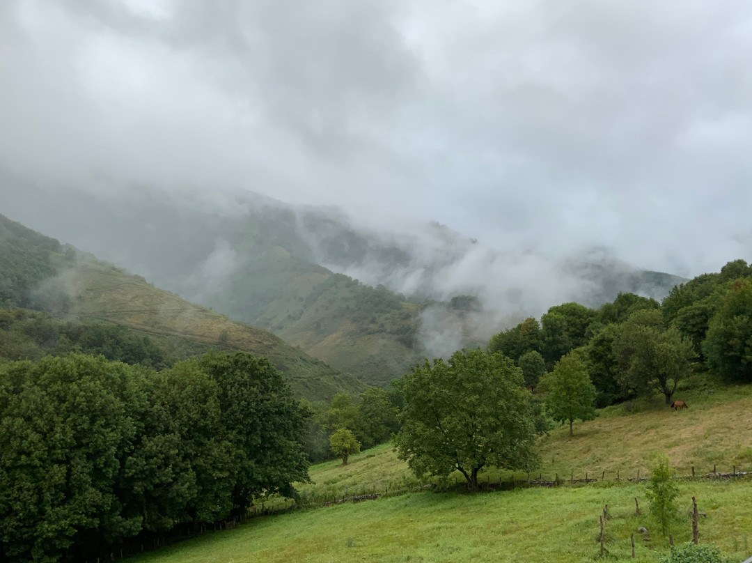 Arantza Hotela主图