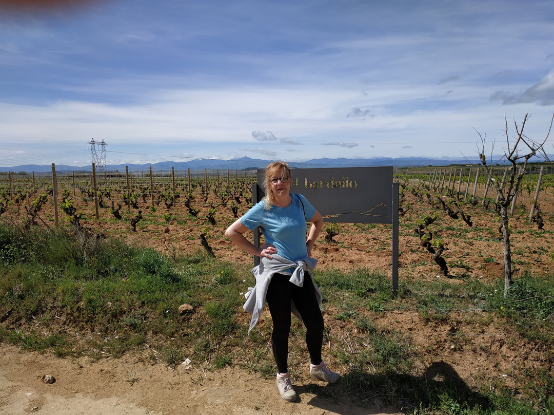 Casa Rural Osante主图