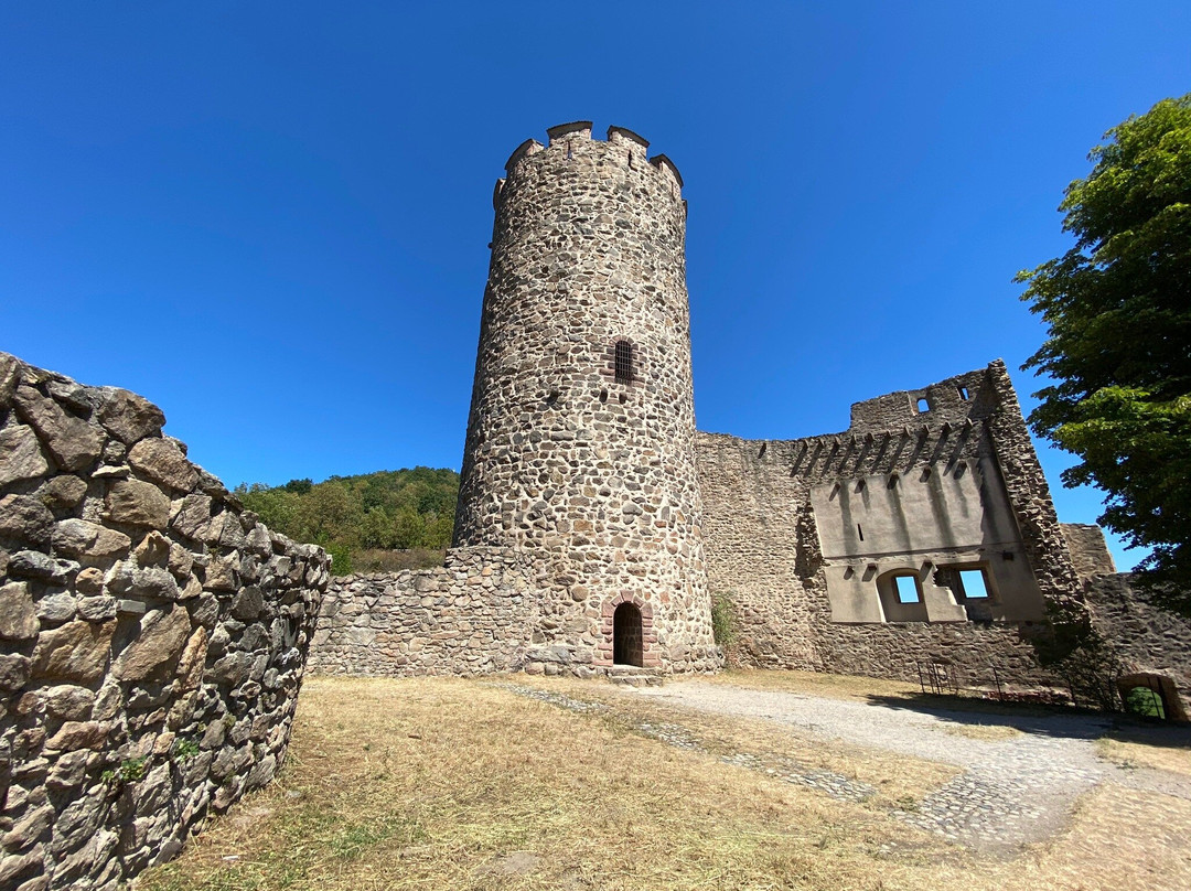 Château de Kaysersberg景点图片