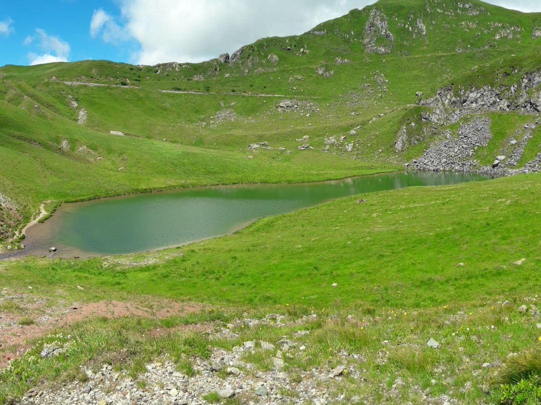 Lago Dimon景点图片