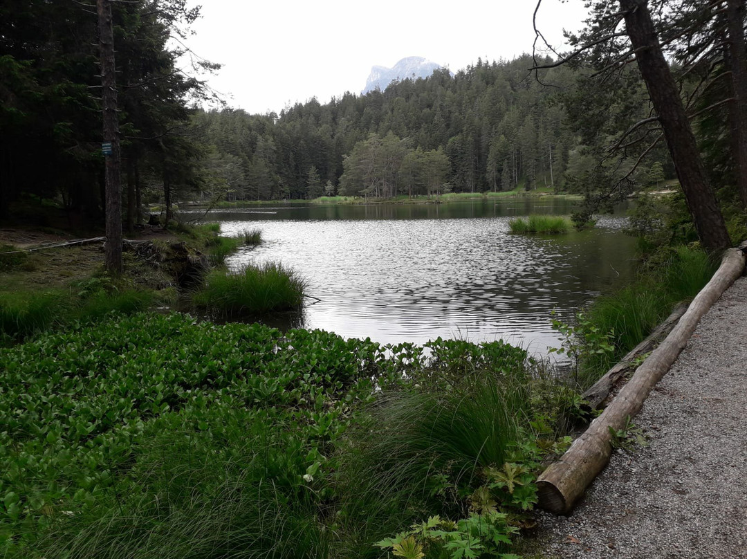 Hotel Pension Tyrol主图