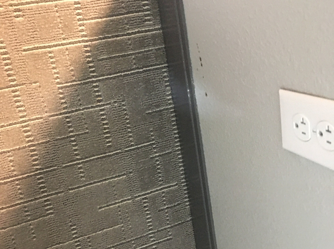 Hampton Inn & Suites Saraland Mobile主图