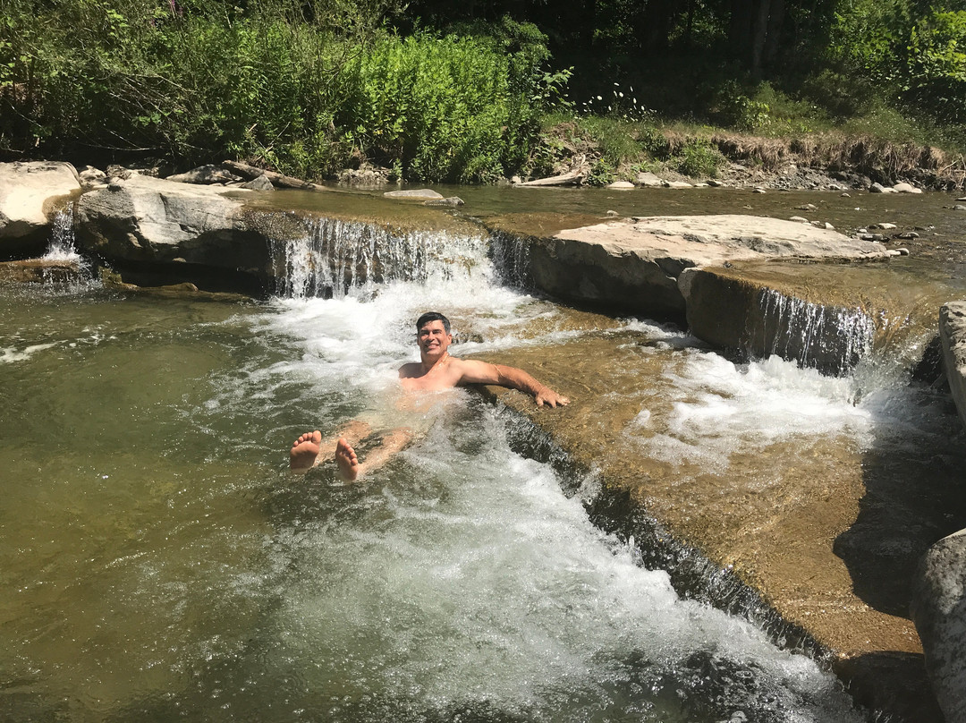 Brookton Hollow Farm Bed and Breakfast主图