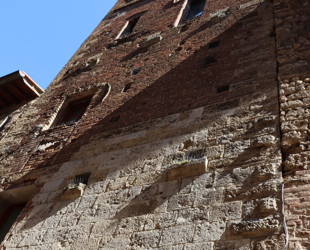 Casa Torre di Arnolfo di Cambio景点图片