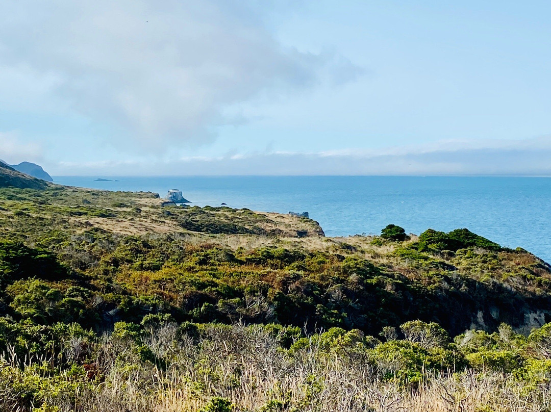 Point Reyes Hiking Trails-Point Reyes National Seashore必去景点