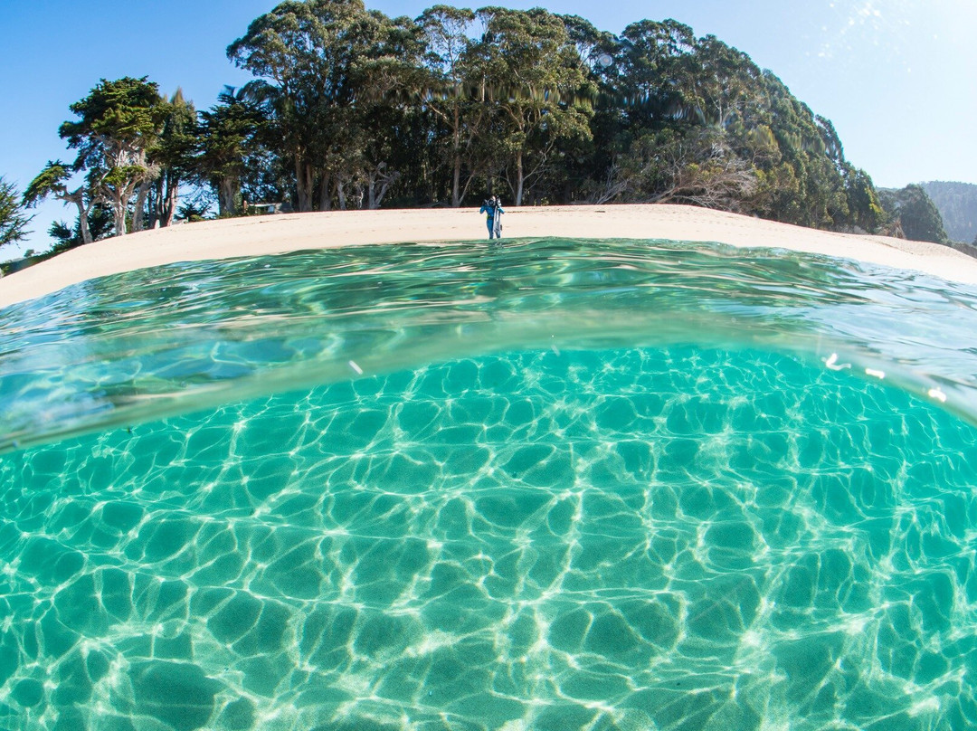 MBAY Freediving-蒙特雷必去景点