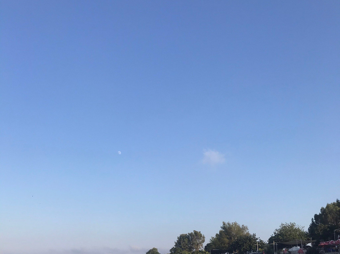 Yapraklı Koy Plajı景点图片