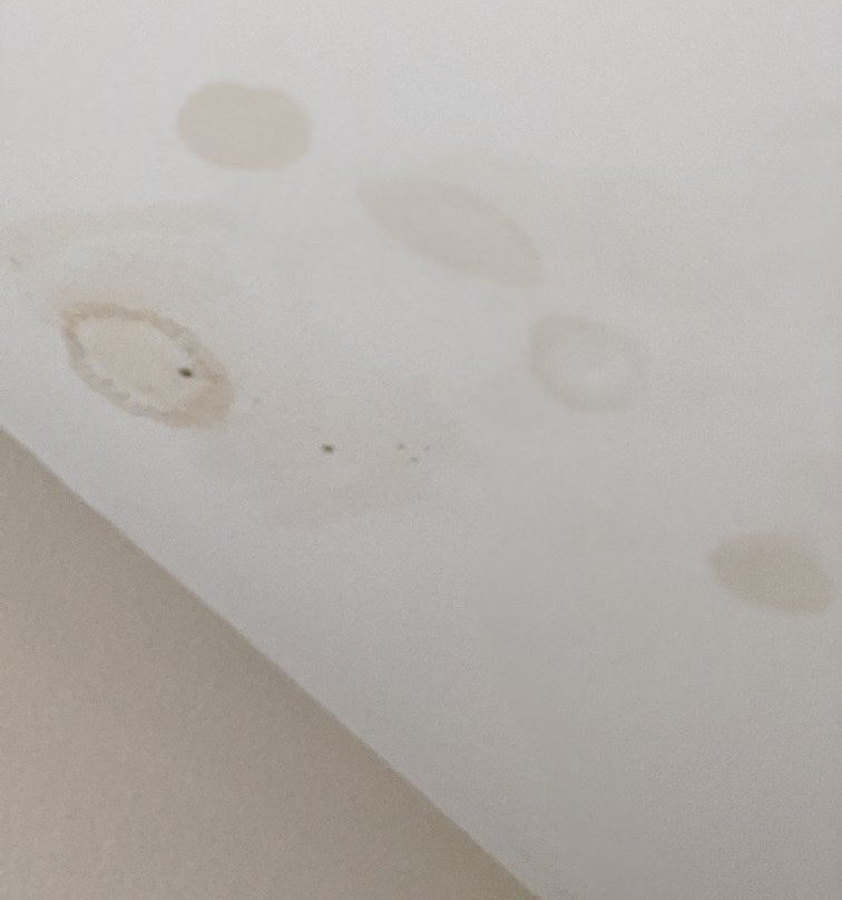 Quality Inn & Suites主图