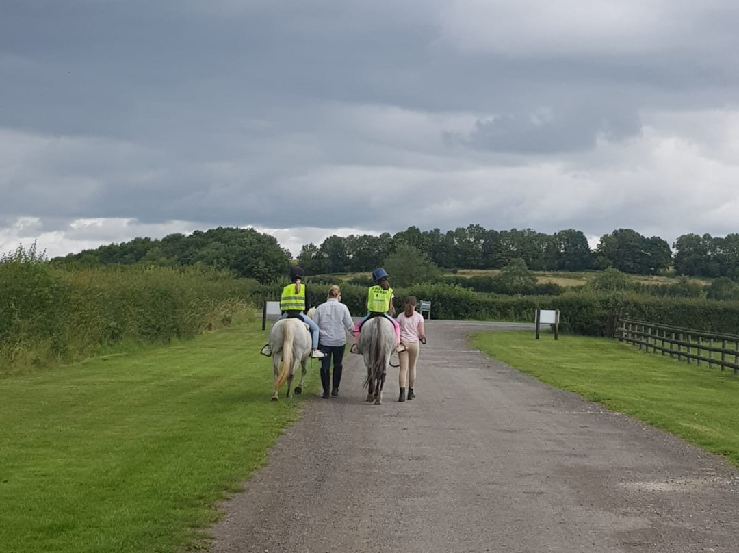 Pioneer Equestrian Coaching-莫顿因马什必去景点
