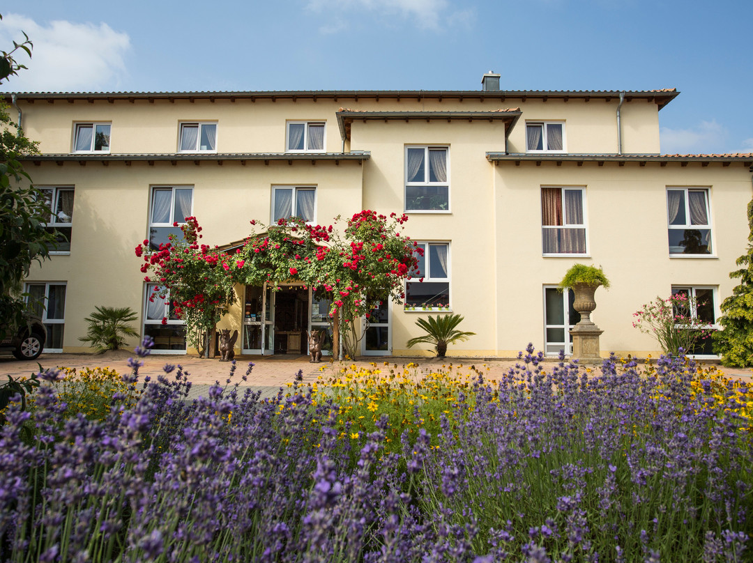 Kahl am Main酒店住宿-Mediterran Hotel Juwel