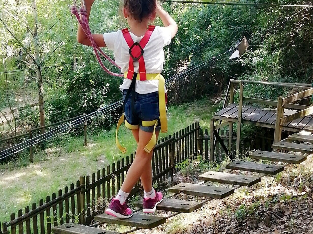 Arbracadabranche Parc Aventure/Caroux景点图片