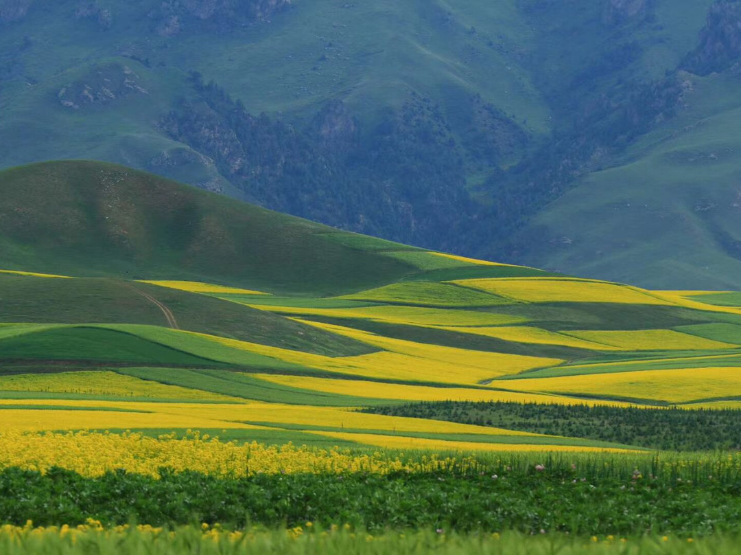 牛心山景点图片