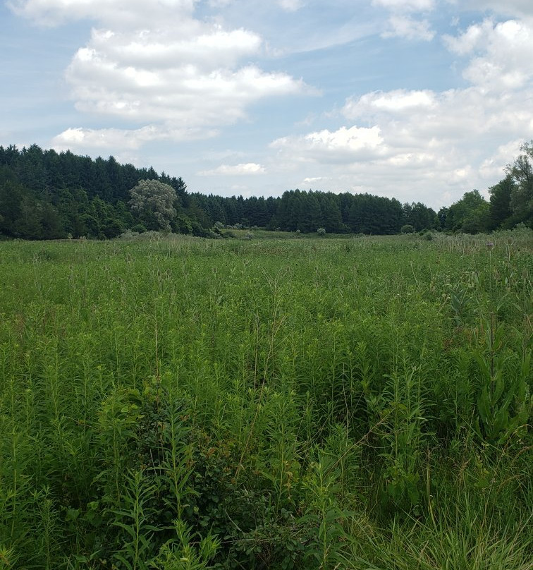 Fanshawe Conservation Area-伦敦必去景点