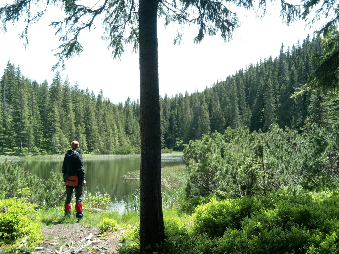 Maricheyka Lake-Yaremche必去景点
