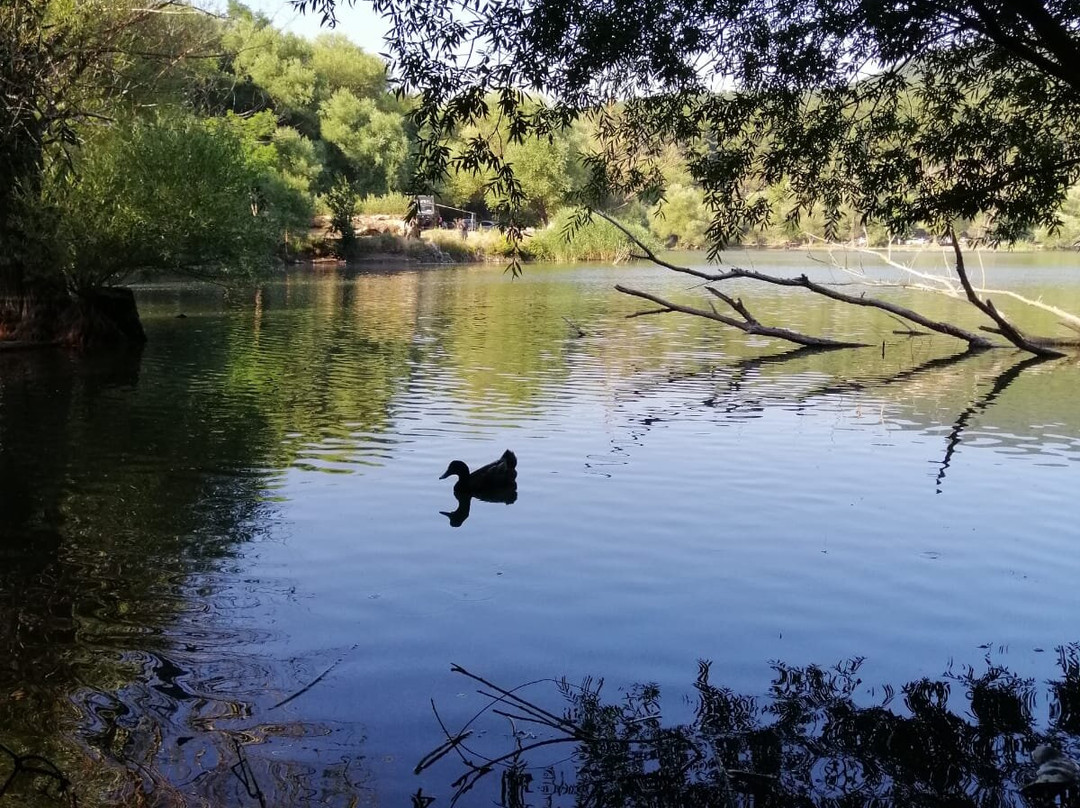 Karagöl Orman Parkı景点图片