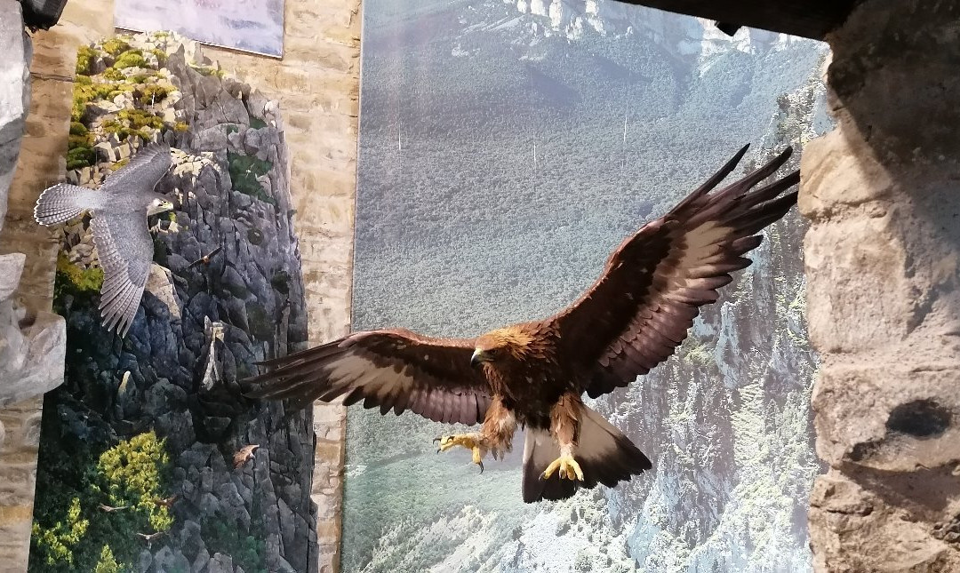 Eco Museo-Centro de Visitantes景点图片