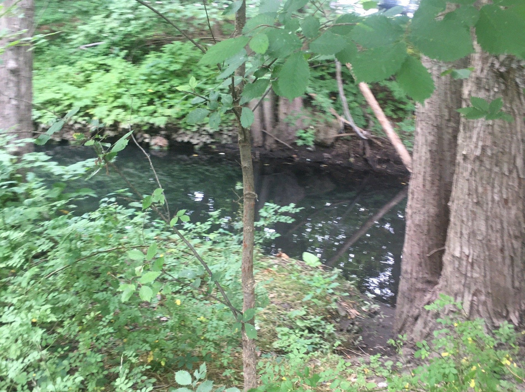 Teaneck Creek Conservancy景点图片