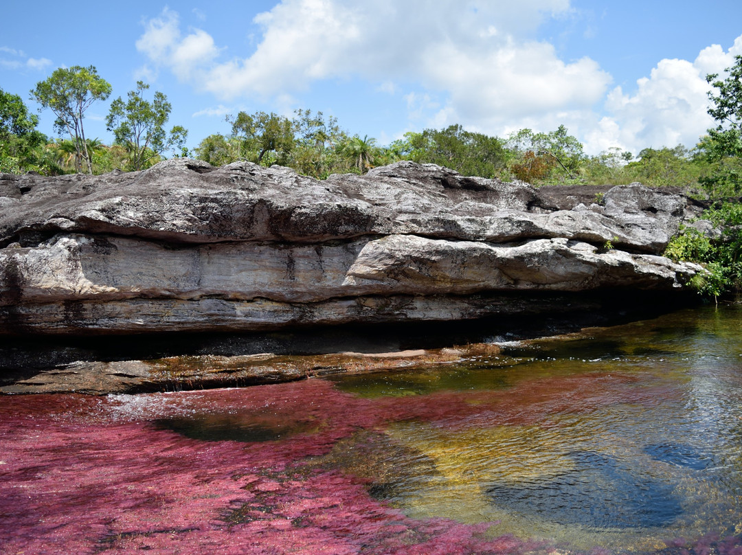 Cristales Tinigua Tour