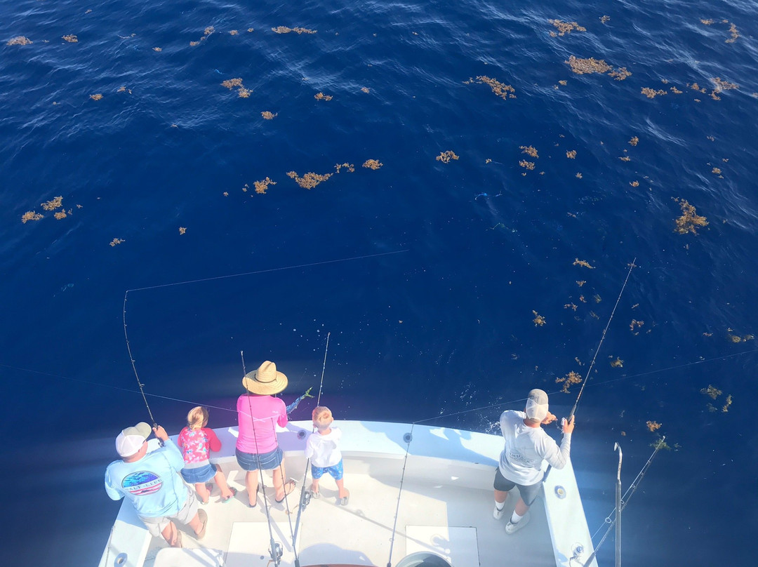 Tailwalker Sportfishing-Day Adventures-Duck Key必去景点