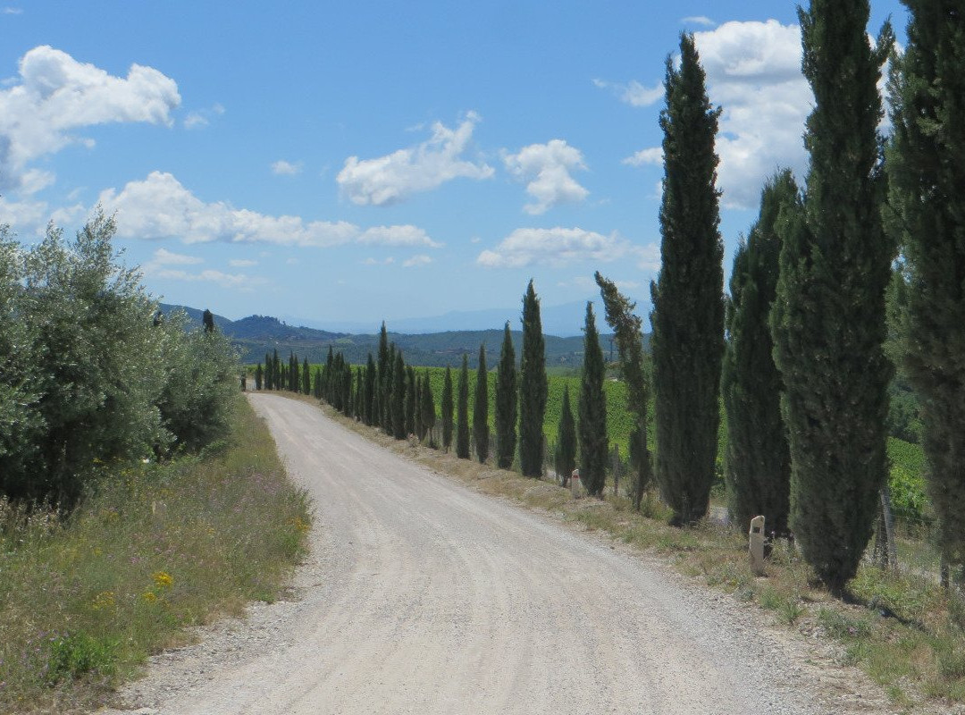 BikeSquare Chianti-卡夫里利亚必去景点