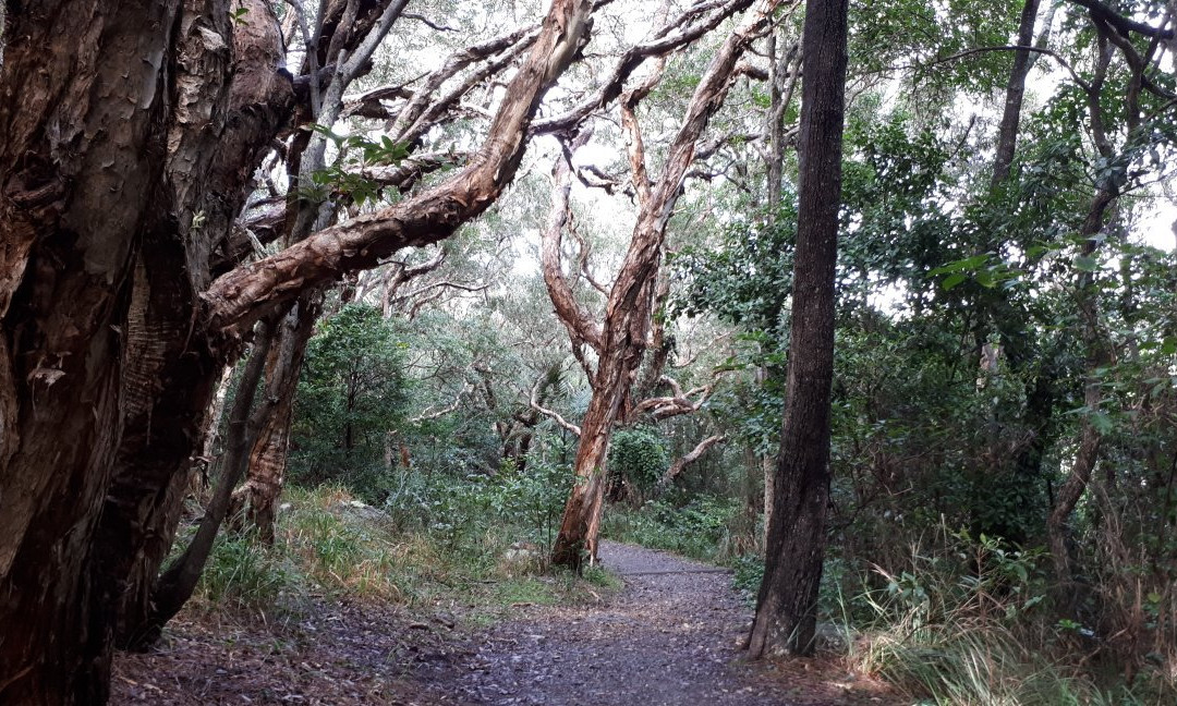 Korogoro Walking Track-Hat Head必去景点