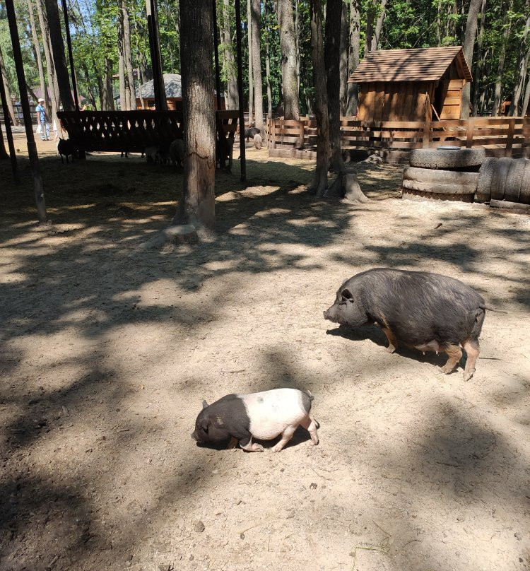 Feldman Ecopark-Lisne必去景点
