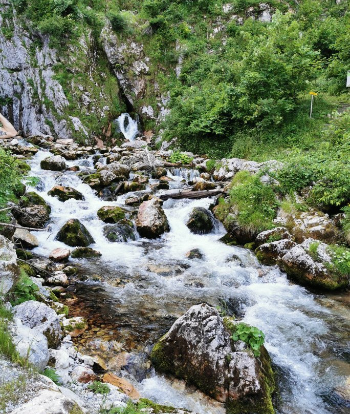 Dachser Wasserfall景点图片