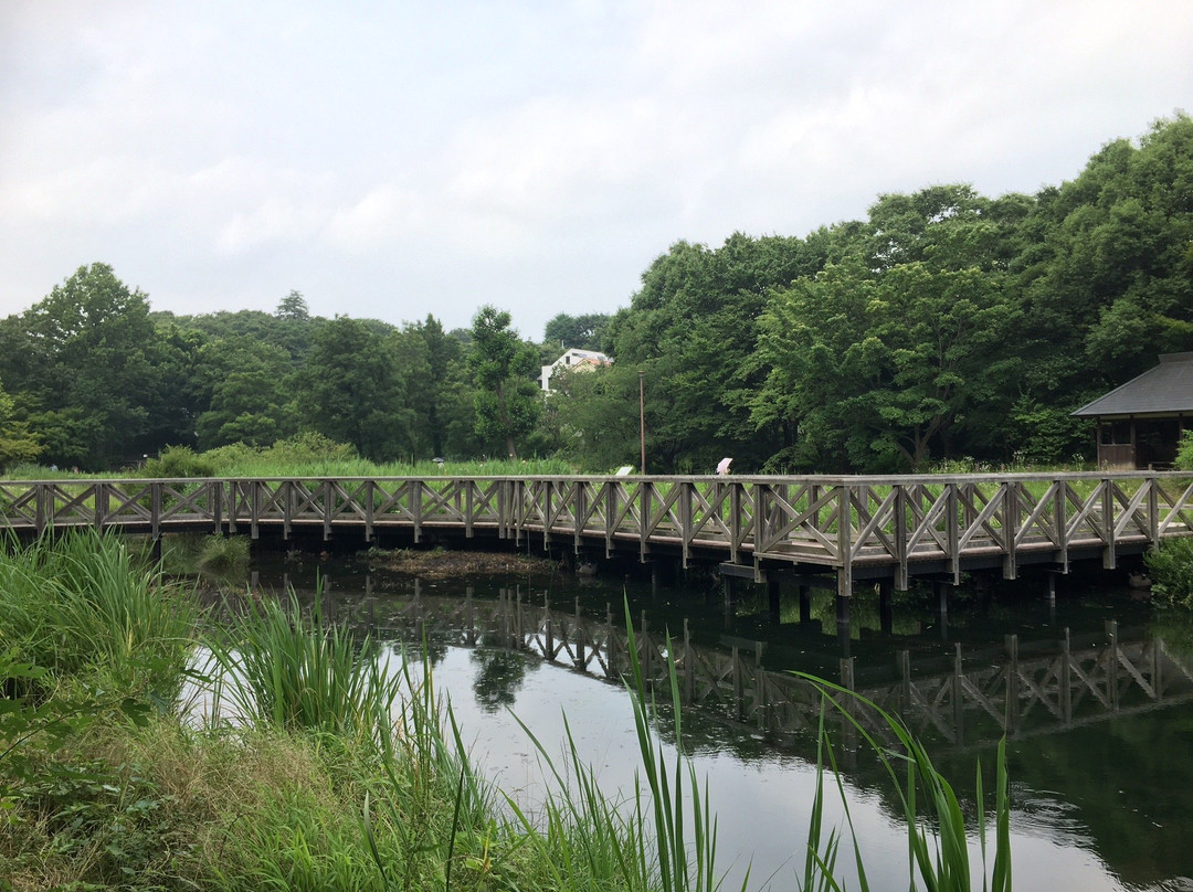 Jindai Aquatic Botanical Garden景点图片
