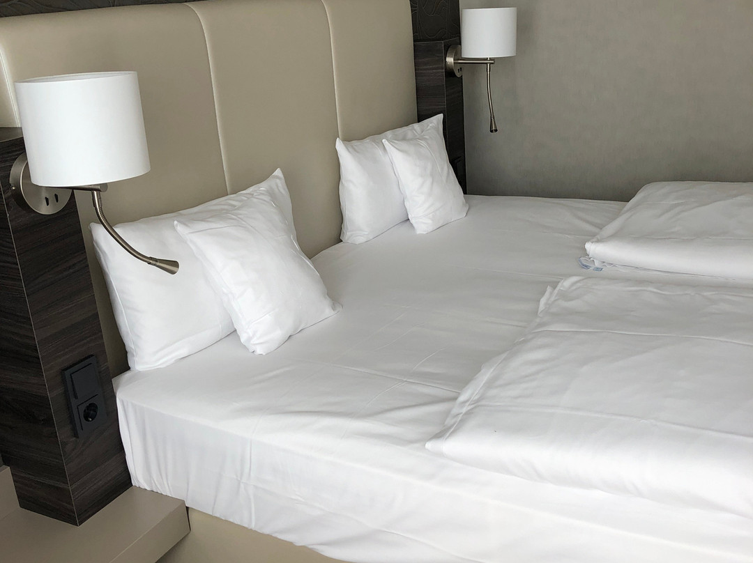 Vital Hotel Frankfurt主图