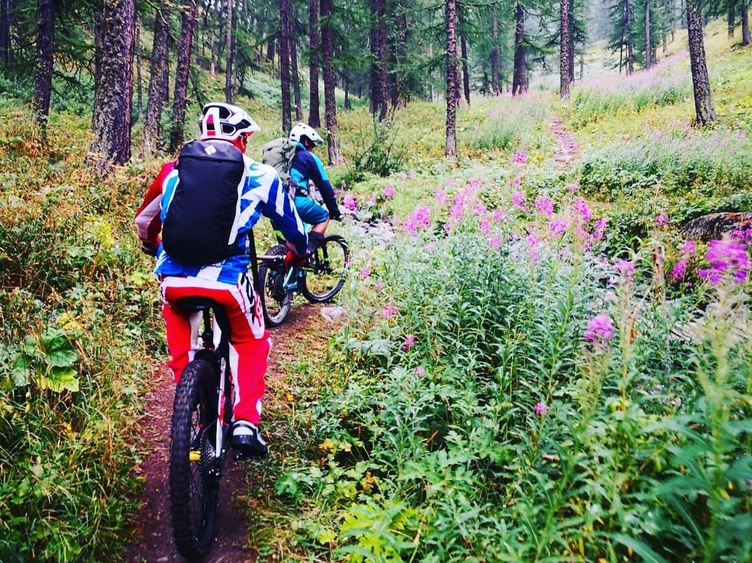 Surfshoppe E-bike Tours景点图片