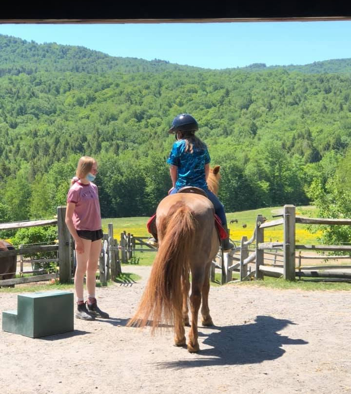 Vermont Icelandic Horse Farm-Moretown必去景点