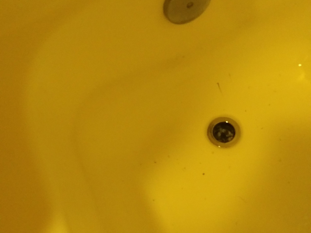 Days Inn by Wyndham Chipley主图