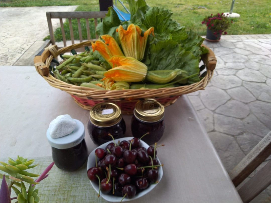Agriturismo Allo Scoglio - Azienda Agricola主图