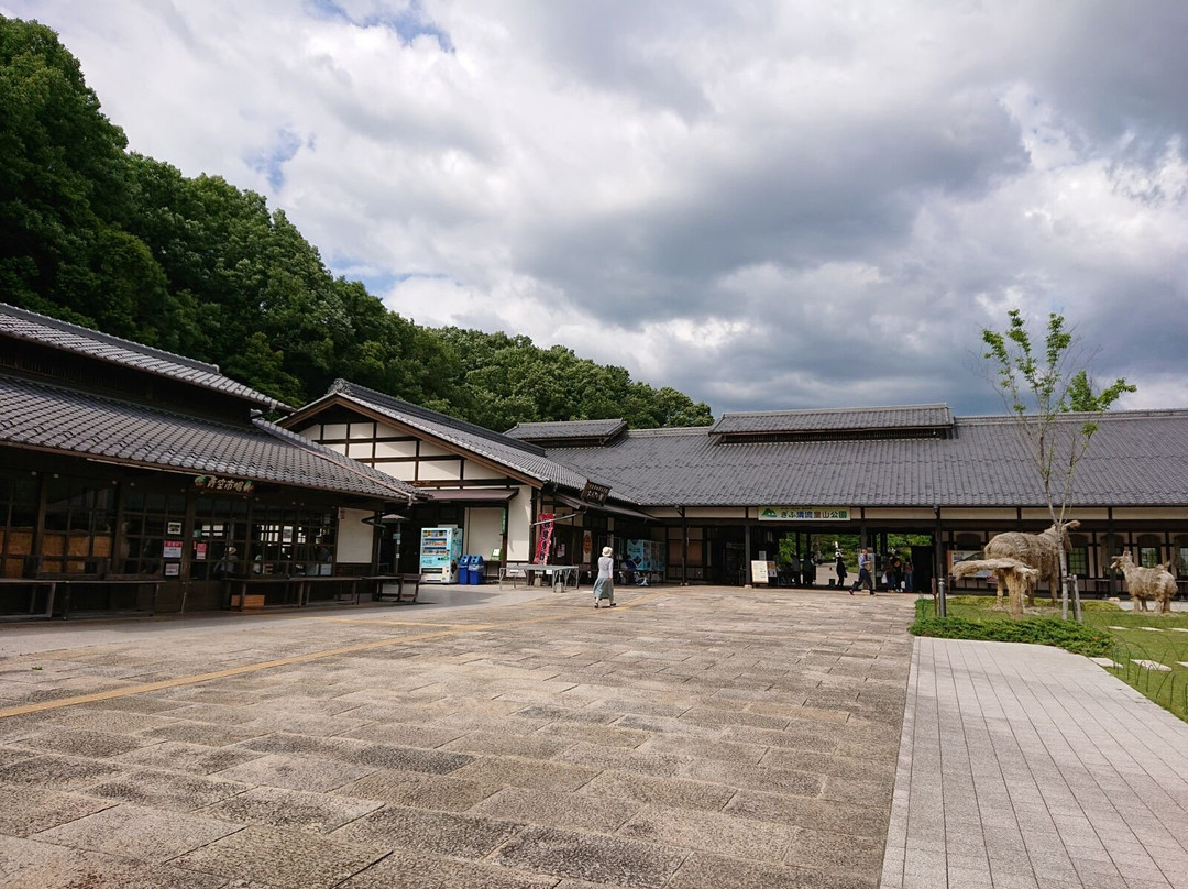 Gifu Seiryu Satoyama Park-美浓加茂市必去景点