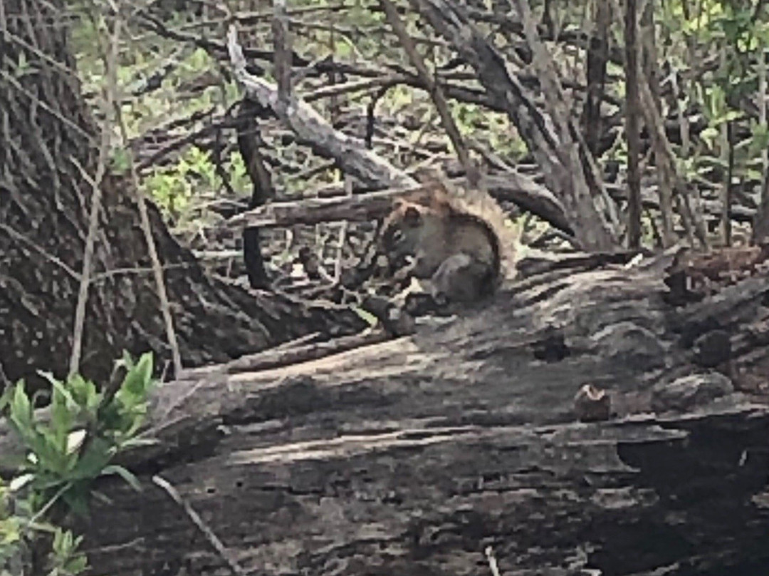 Acton Arboretum-Acton必去景点