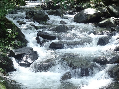 BTR SL-加勒必去景点