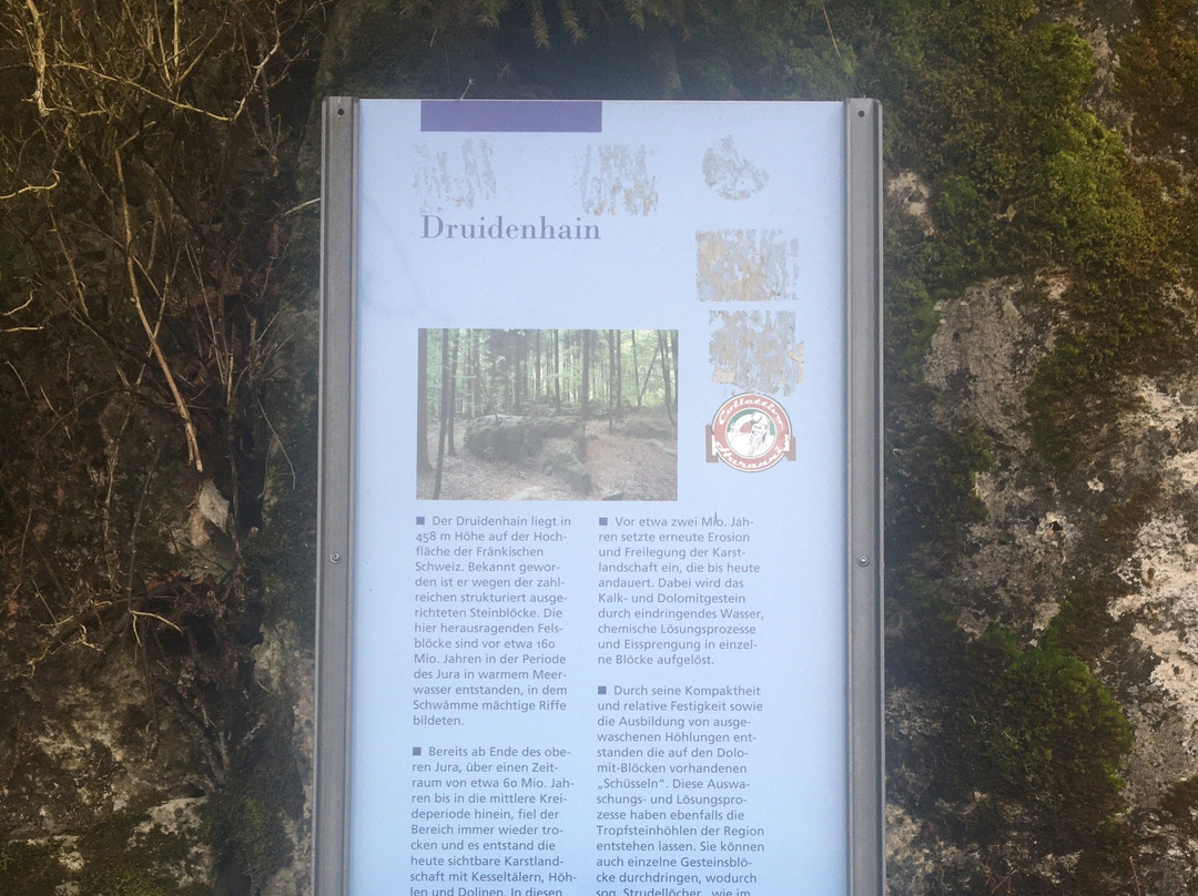 Druidenhaine景点图片