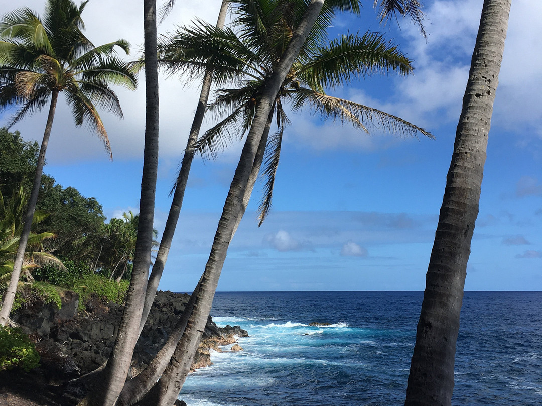 Kehena Black Sand Beach-帕霍亚必去景点
