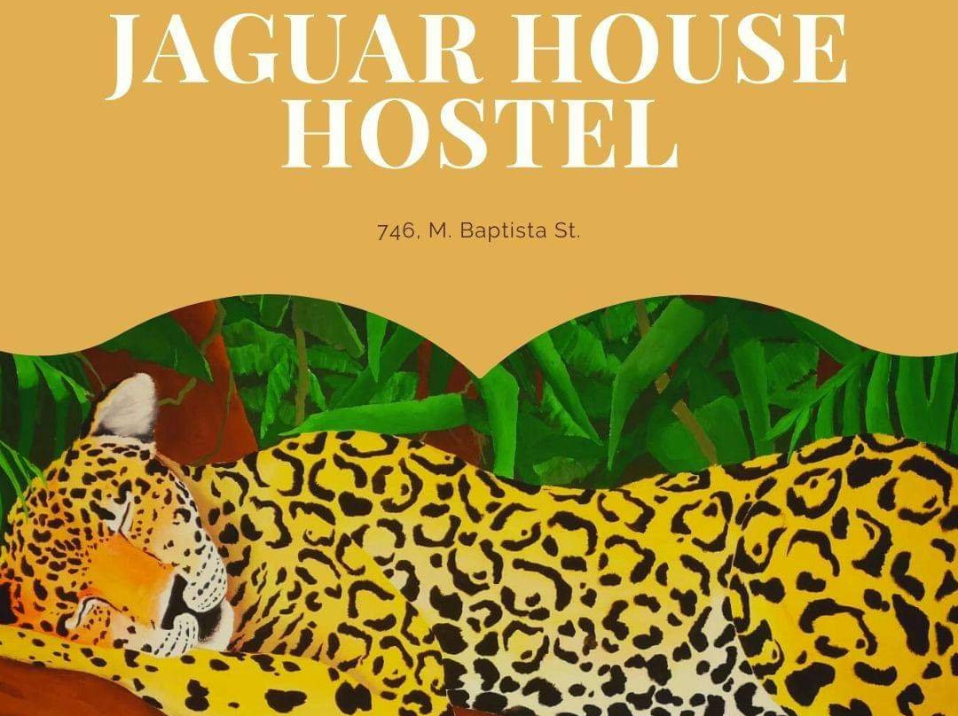 Jaguar House Hostel主图
