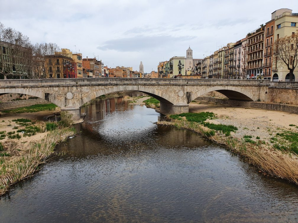 Pont de Pedra景点图片