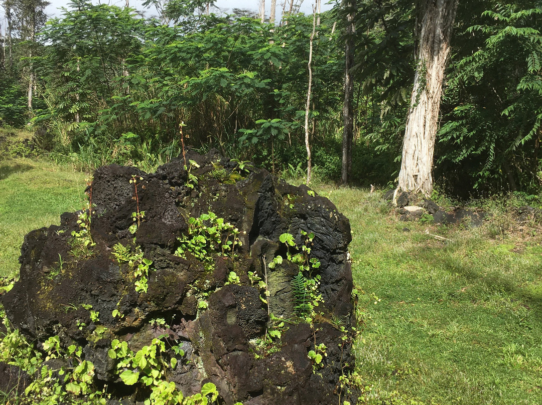 州立熔岩树公园-帕霍亚必去景点